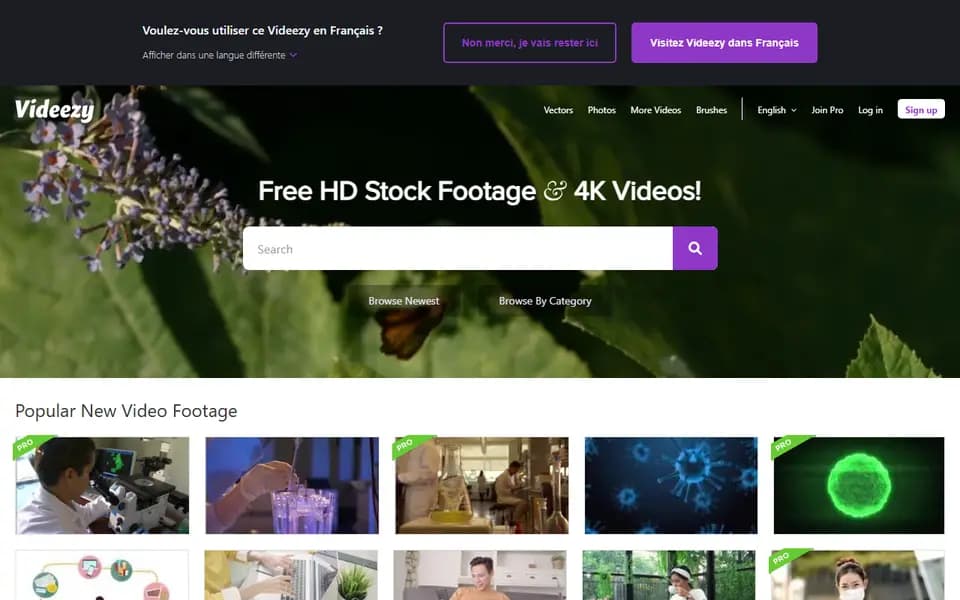 Videezy homepage